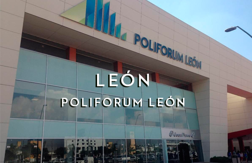 LEON-POLIFORUM-HOME-CUADRO