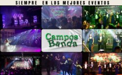 WhatsApp Image 2025-10-03 at 12.14.53 PM (9)