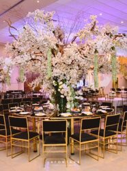 488661336_1062887195871428_1618114101574557814_n