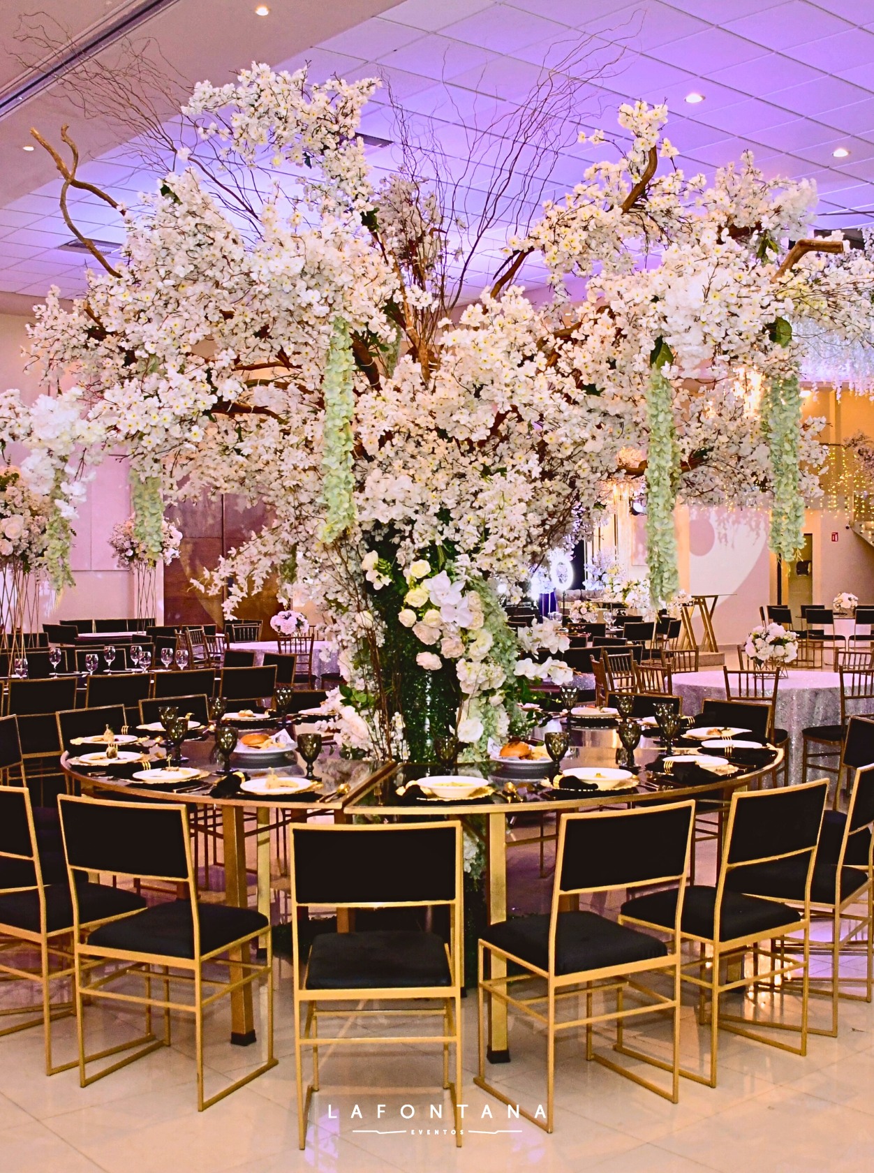 488661336_1062887195871428_1618114101574557814_n