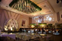 WhatsApp Image 2025-10-14 at 11.33.43 AM (1)