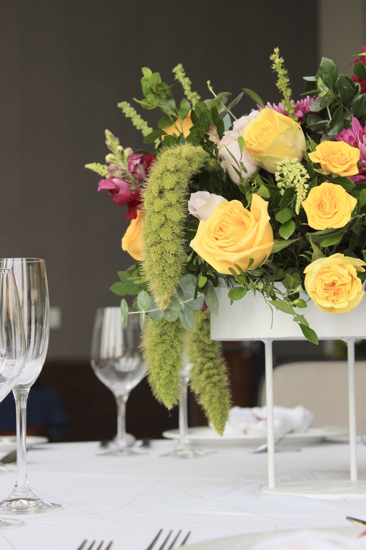 6D9D797C-FFF8-41F6-9D51-8341FBEA6A01_1_201_a